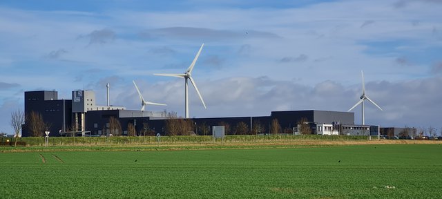 Wind turbines at the SGD Pharma plant.jpg