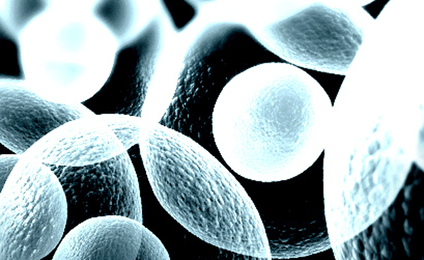 Univercell-Biosolutions