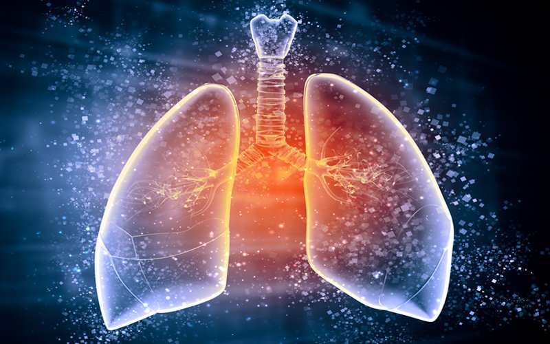 New delivery method gets drugs into the lungs - European Pharmaceutical ...