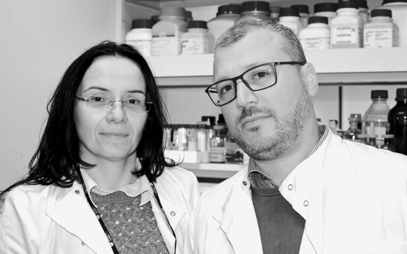 Dr Concetta Bubici and Dr Salvatore Papa.jpg