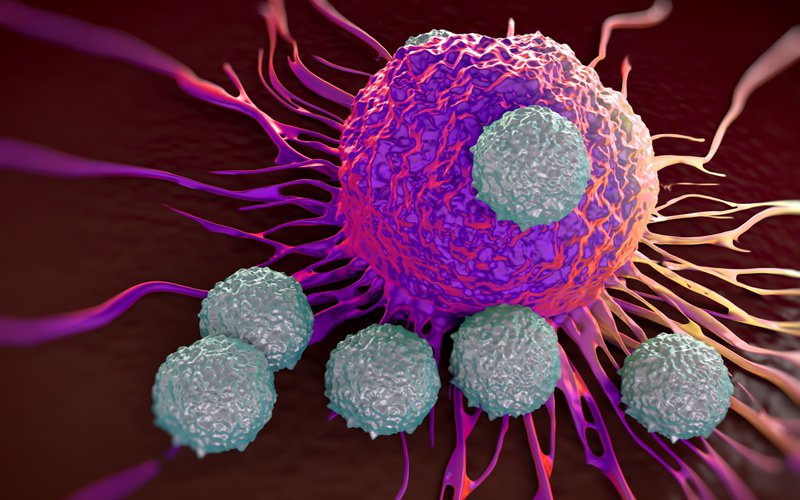 Immune system against cancer_edited-1.jpg