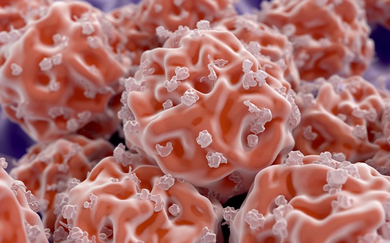Stem Cells.jpg