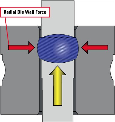 pg.16 fig 6.jpg