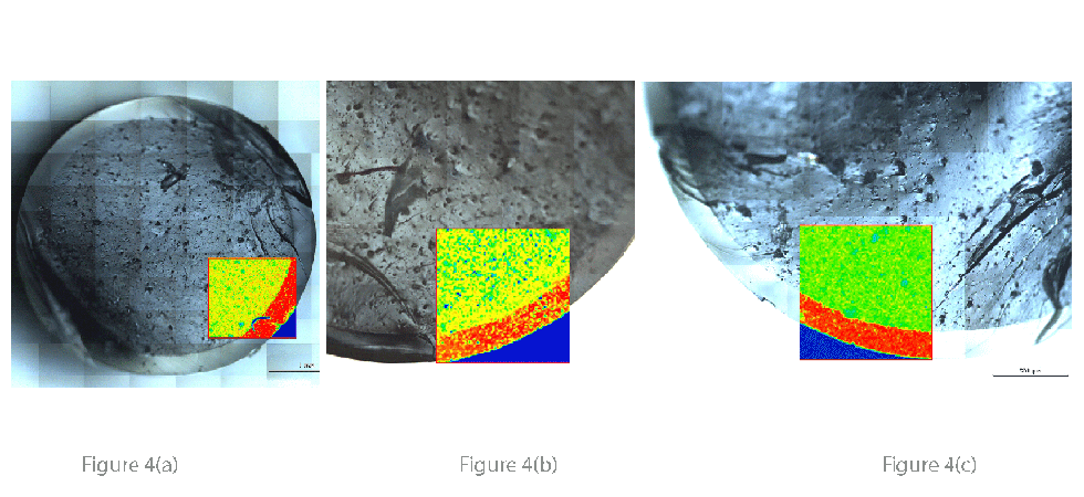 Thermo Figure 4a-c