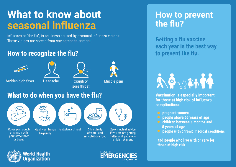 Flu infographic
