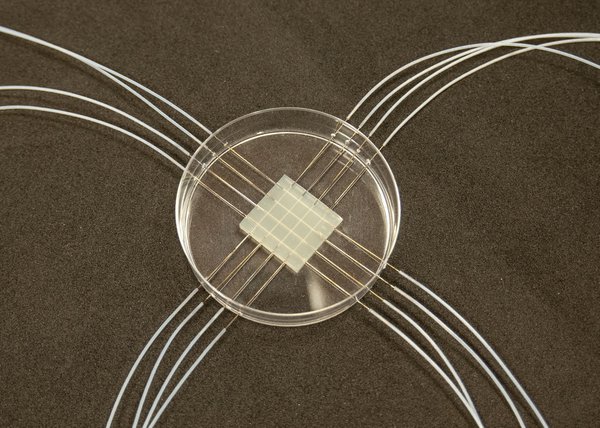 Hydrogel microfluidic chips.