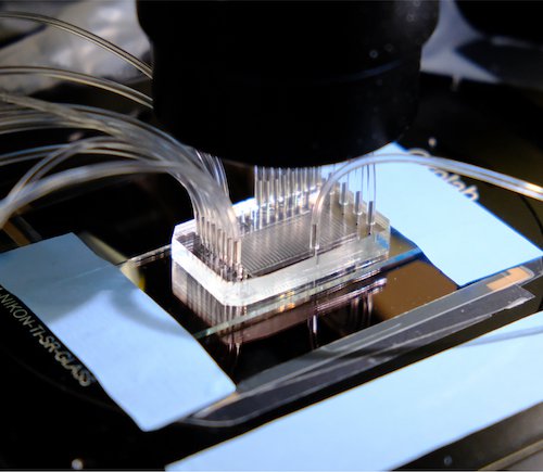 Workcell with a microfluidic chip testing thousands of AI-designed proteins.jpg